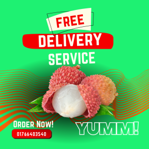 12 Lychee Exotic Sweet Pearl