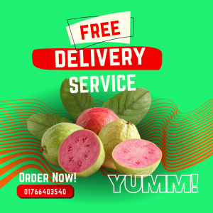 14 Guava Tropical Pink Delight