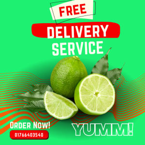 20 Lemon – Zesty Citrus Fresh