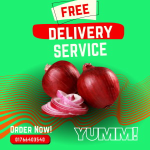 21 Onion – Kitchen Essential