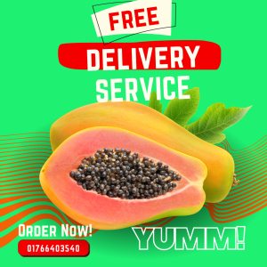 22 Papaya – Tropical Health Booster